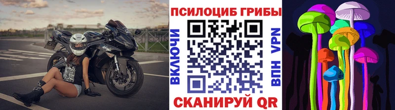 Галлюциногенные грибы прущие грибы  MEGA рабочий сайт  Сегежа  дарнет шоп 