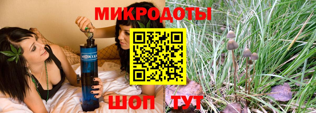 Псилоцибиновые грибы GOLDEN TEACHER Сегежа